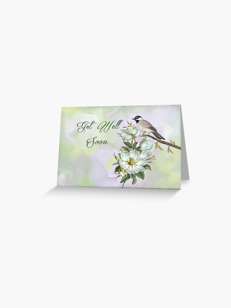 Gift Box of 10 Little Birds Singing Greeting Cards~10 SONGBIRDS  Notecards~Friends~Musical Birds Cards Notes~Fantasy Birds Gift