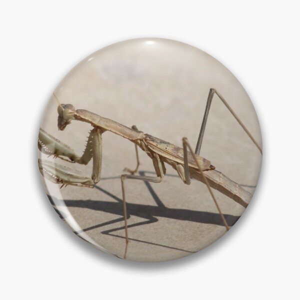Item preview, Praying Mantis and Shadow designed and sold by taiche.