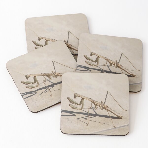 Item preview, Praying Mantis and Shadow designed and sold by taiche.