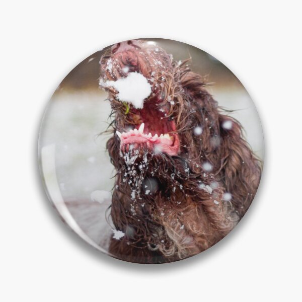Item preview, Snow ball Spinone designed and sold by FOLK ART FUSION by heidiannemorris.