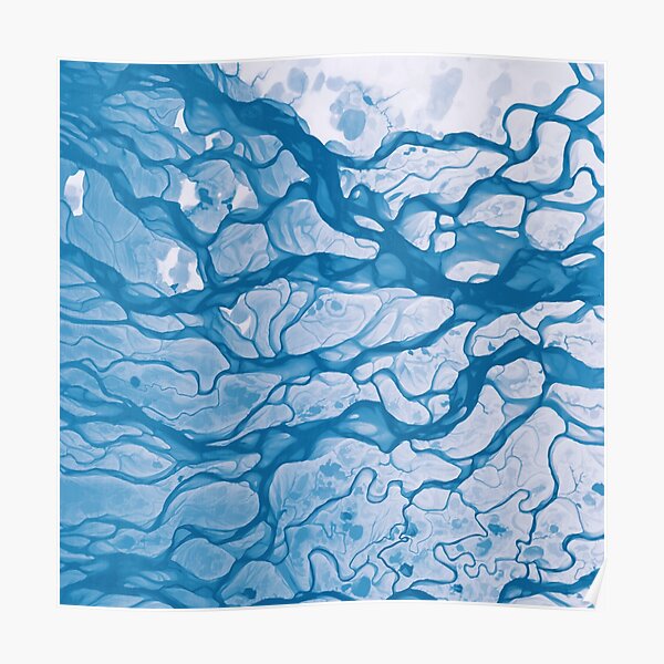 Lena River Delta Poster