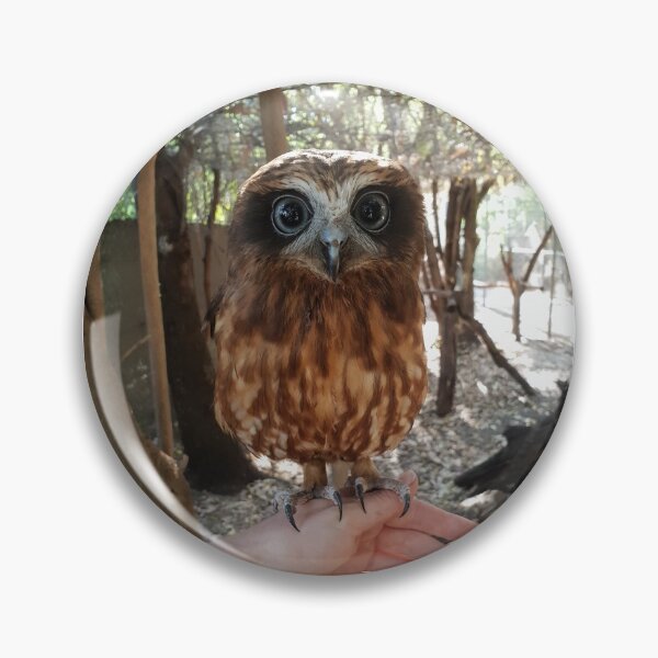 Item preview, Peel Zoo: Ragen the Southern Boobook Owl designed and sold by PeelZoo.