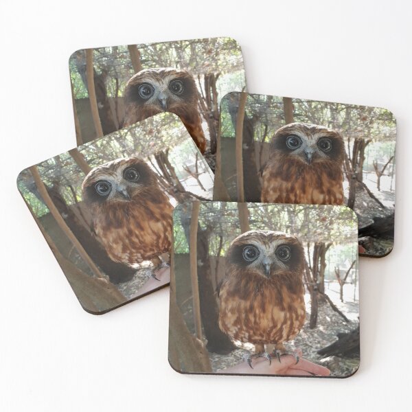 Item preview, Peel Zoo: Ragen the Southern Boobook Owl designed and sold by PeelZoo.
