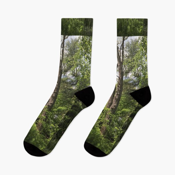 Item preview, Forest Vestibule designed and sold by RVogler.