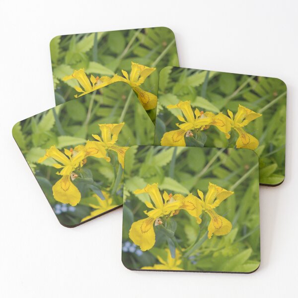 Item preview, Yellow Bird Iris designed and sold by Photos by Phil.