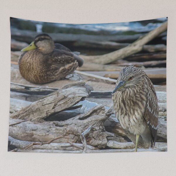 Item preview, American bittern & Duck on Pile of Dung - Funny Ecology Gift designed and sold by r-silver.