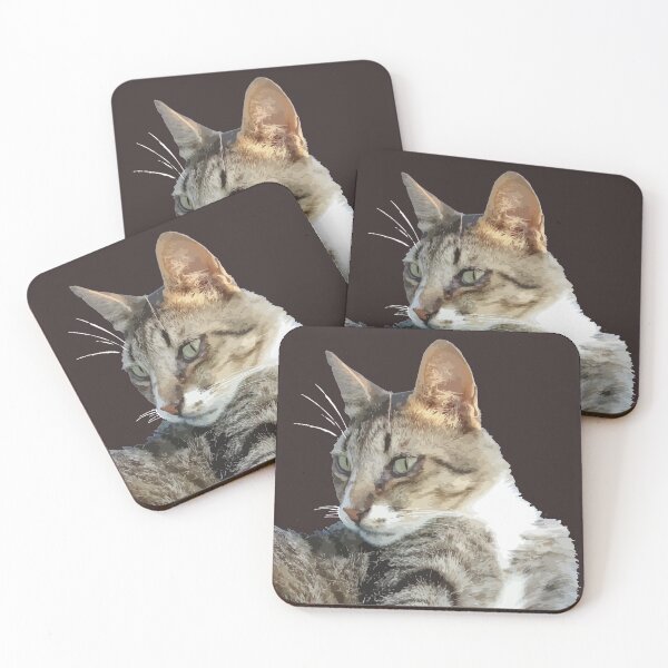 Item preview, Observant Tabby Cat Vector designed and sold by taiche.