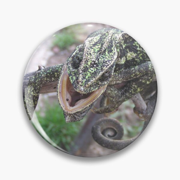 Item preview, Colourful Chameleon Wrapped Around A Branch designed and sold by taiche.