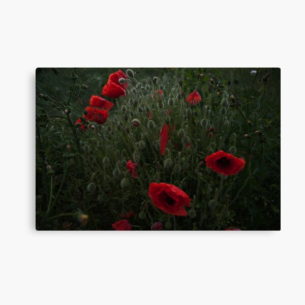 Item preview, Eerie Poppies designed and sold by jamesdt.