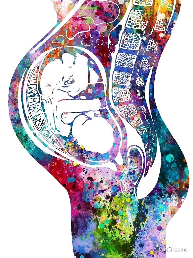 "Pregnancy Medical Art" Art Print for Sale by EvasDreams Redbubble