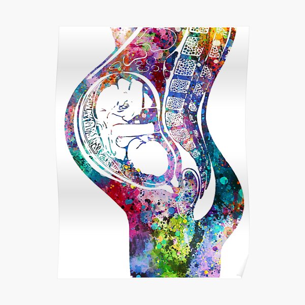 Pregnancy Medical Art Poster