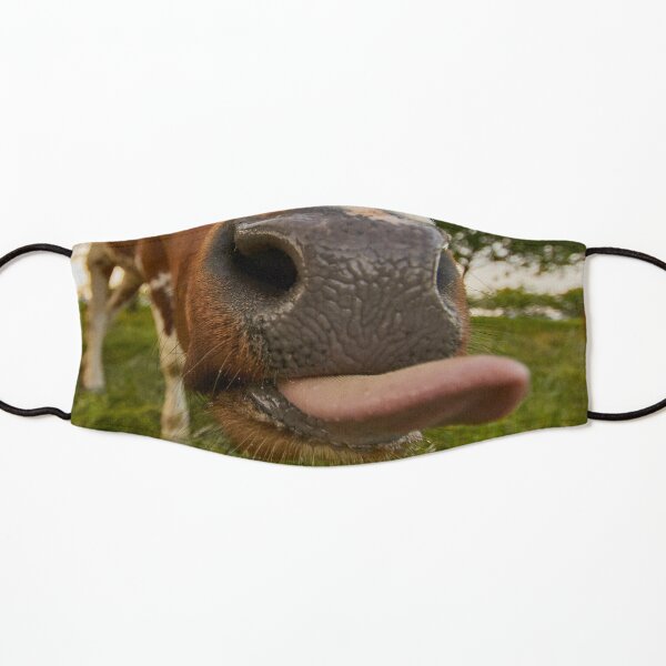Funny Brown Cow Mouth and tongue Cloth Face Mask Kids Mask