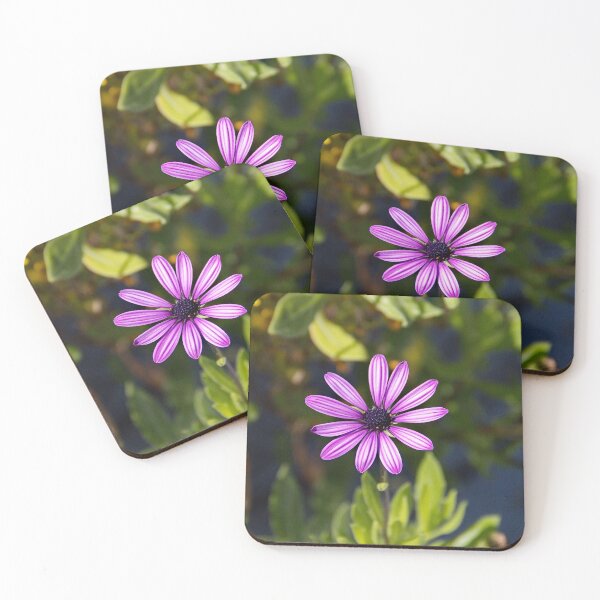 Item preview, Purple Aster with Striped Petals designed and sold by Photos by Phil.