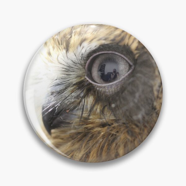 Item preview, Peel Zoo: Ragen the Southern Boobook designed and sold by PeelZoo.