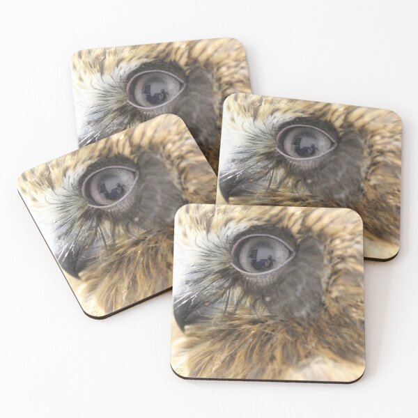 Item preview, Peel Zoo: Ragen the Southern Boobook designed and sold by PeelZoo.