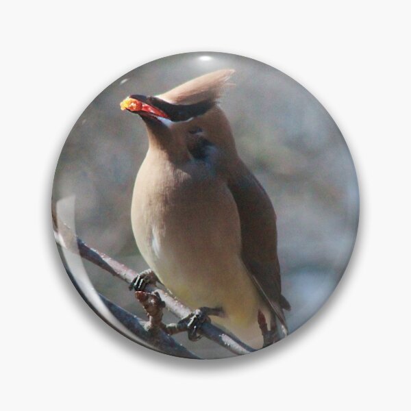 Item preview, Cedar Waxwing designed and sold by maxinemwhite.