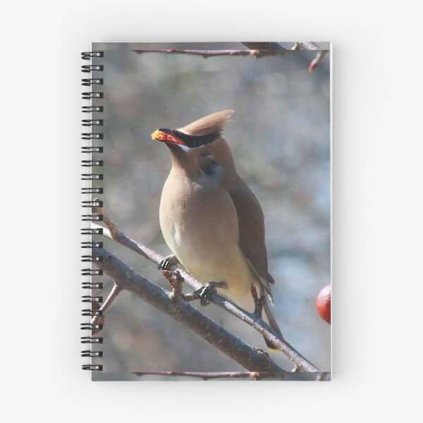 Item preview, Cedar Waxwing designed and sold by maxinemwhite.
