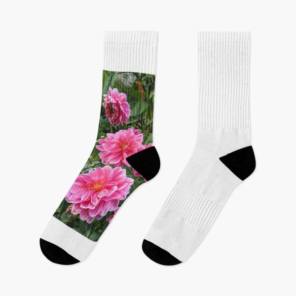 Item preview, Pink Dahlias designed and sold by JASPA SWINNERTON.