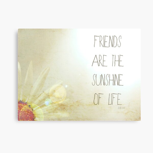 Sunshine & Friendship. Metal Print