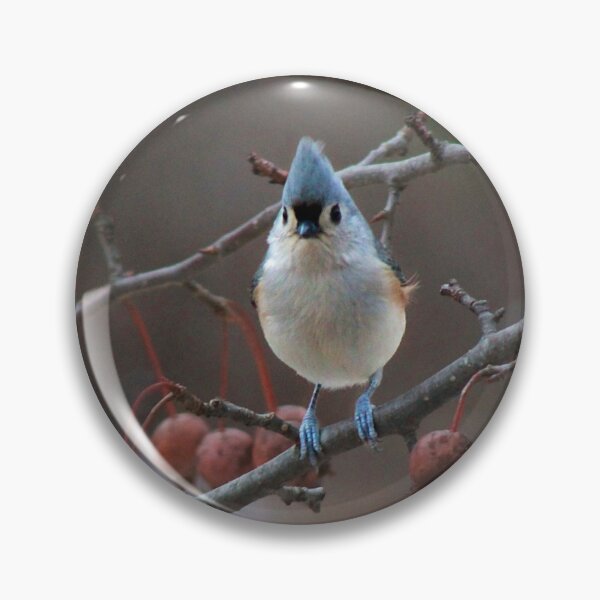Item preview, Tufted Titmouse  designed and sold by maxinemwhite.