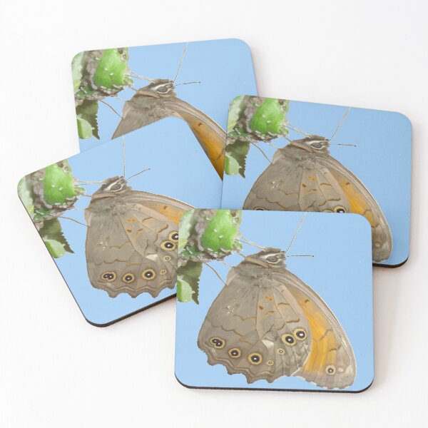 Item preview, Meadow Brown Butterfly Feeding On Aphids designed and sold by taiche.