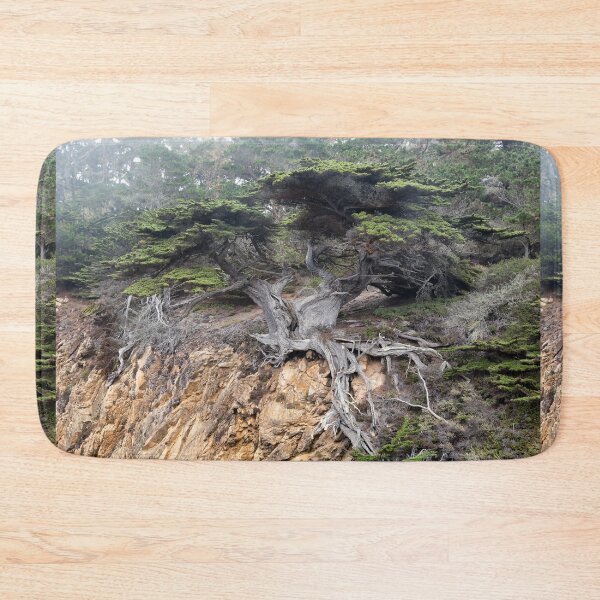 Item preview, Old Veteran Cypress designed and sold by Yair Karelic.
