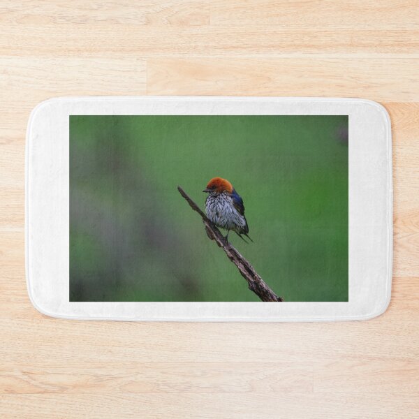 Item preview, Little Bird designed and sold by Totallyalive.