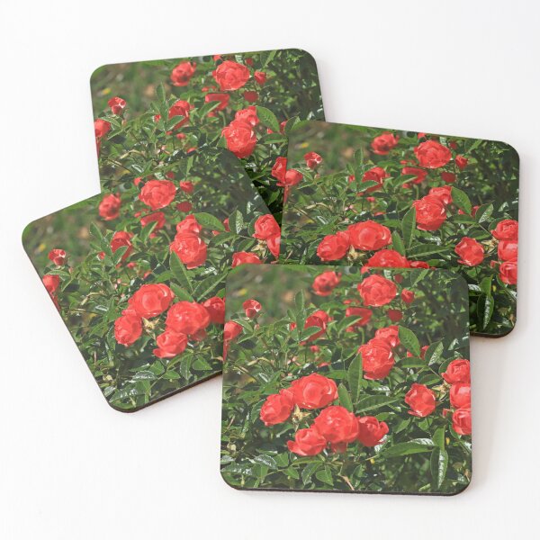 Item preview, Small roses in bloom designed and sold by annalisa56.