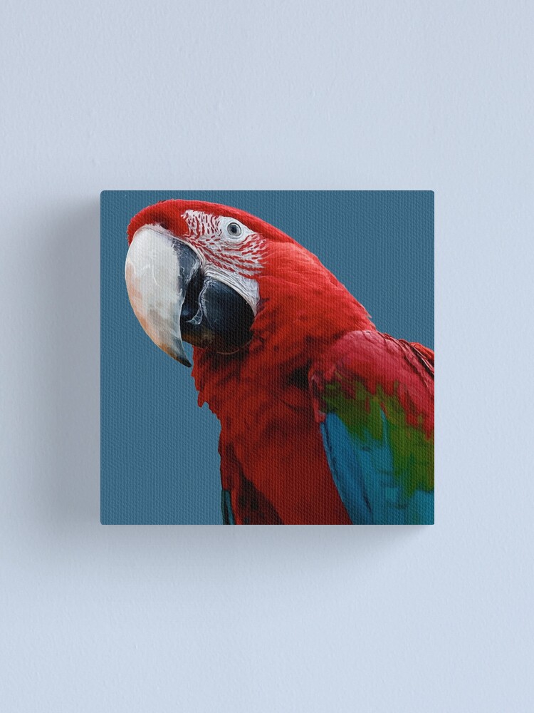 Green-winged macaw feathers For sale as Framed Prints, Photos, Wall Art and  Photo Gifts