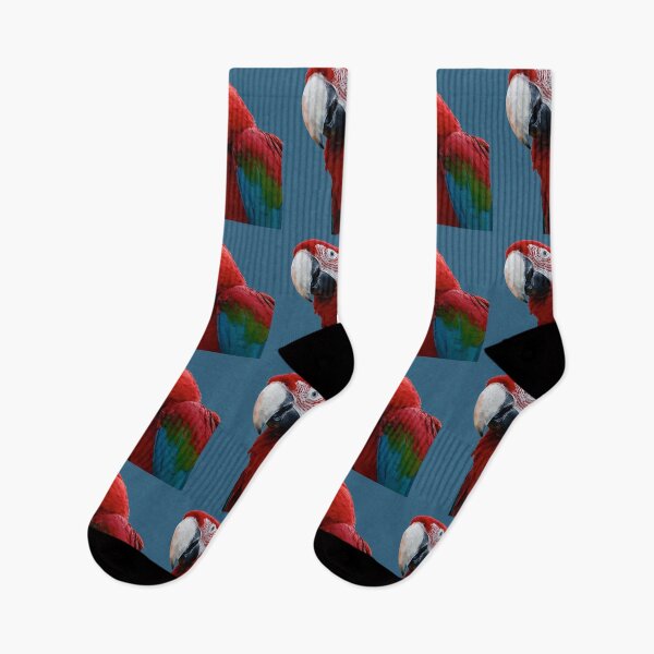 Item preview, Close-Up Of A Green Winged Macaw Parrot designed and sold by taiche.