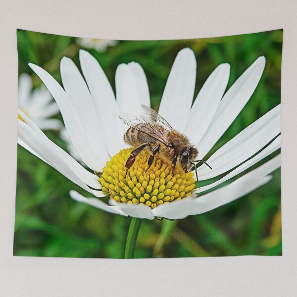 Item preview, Bee on White Camomile - Cute Save the Bees Floral Gift designed and sold by r-silver.