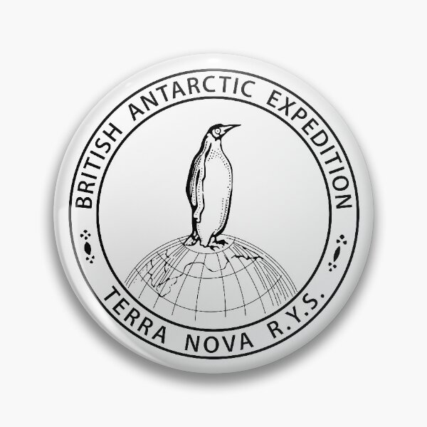 Terra Nova RYS Badge