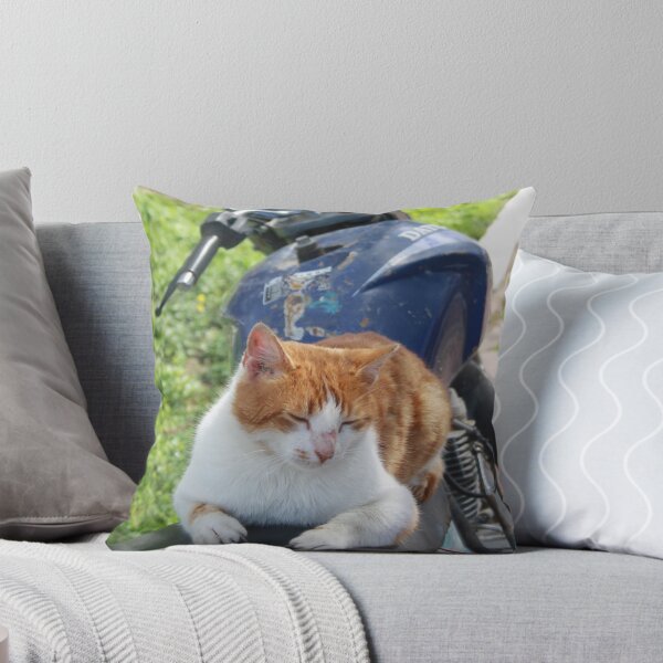 Item preview, Ginger and White Tabby Cat Sunbathing on A Motorcycle designed and sold by taiche.