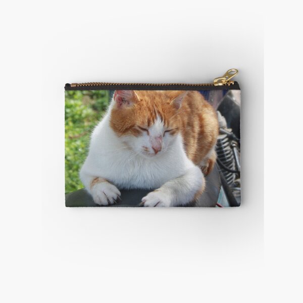 Item preview, Ginger and White Tabby Cat Sunbathing on A Motorcycle designed and sold by taiche.