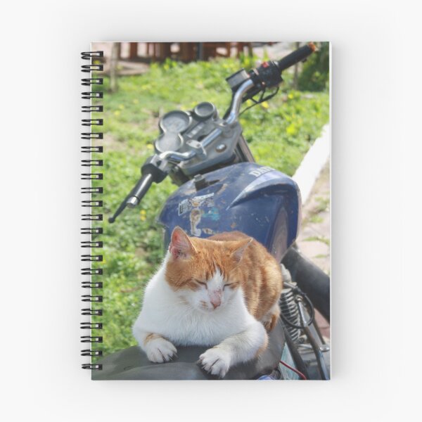 Item preview, Ginger and White Tabby Cat Sunbathing on A Motorcycle designed and sold by taiche.
