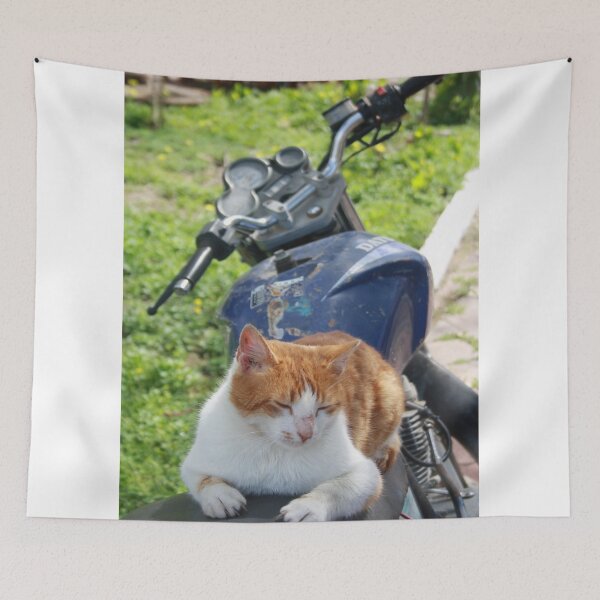 Item preview, Ginger and White Tabby Cat Sunbathing on A Motorcycle designed and sold by taiche.