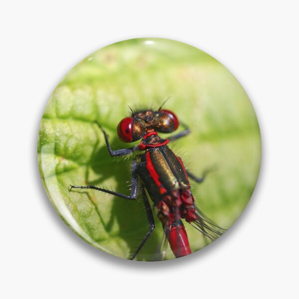 Item preview, Large red damselfly close up designed and sold by GreyFeatherPhot.