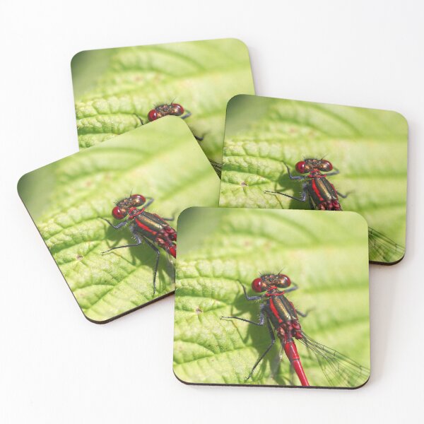 Item preview, Large red damselfly close up designed and sold by GreyFeatherPhot.