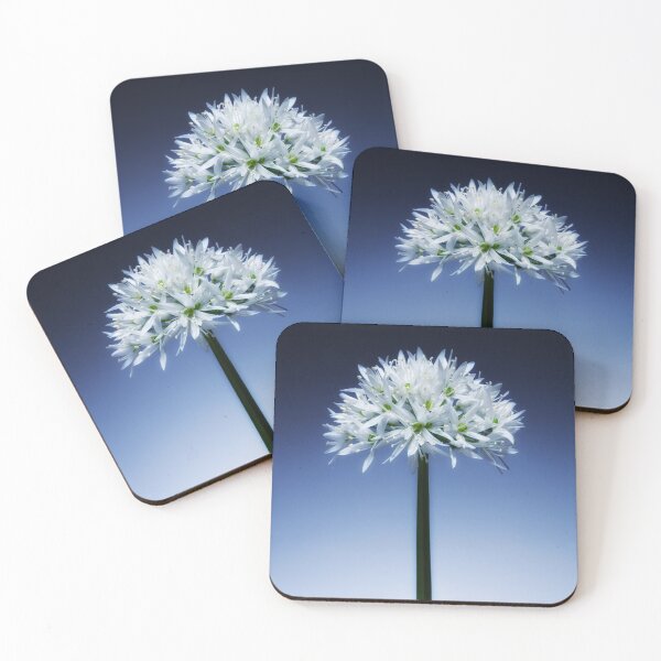 Item preview, Wild Garlic flower No. 3 designed and sold by Phillip Thornton.