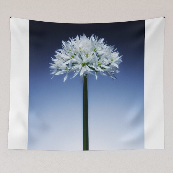 Item preview, Wild Garlic flower No. 3 designed and sold by Phillip Thornton.