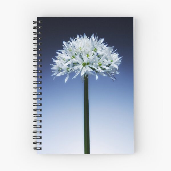 Item preview, Wild Garlic flower No. 3 designed and sold by Phillip Thornton.