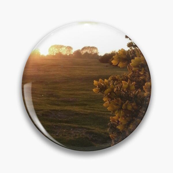 Sunset Gorse Pin