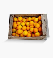 Oranges Greeting Card