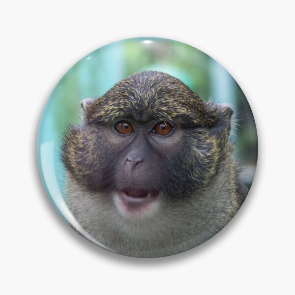 Item preview, Allen's Swamp Monkey at the National Zoo designed and sold by Zoo and Nature Photography by Karie.