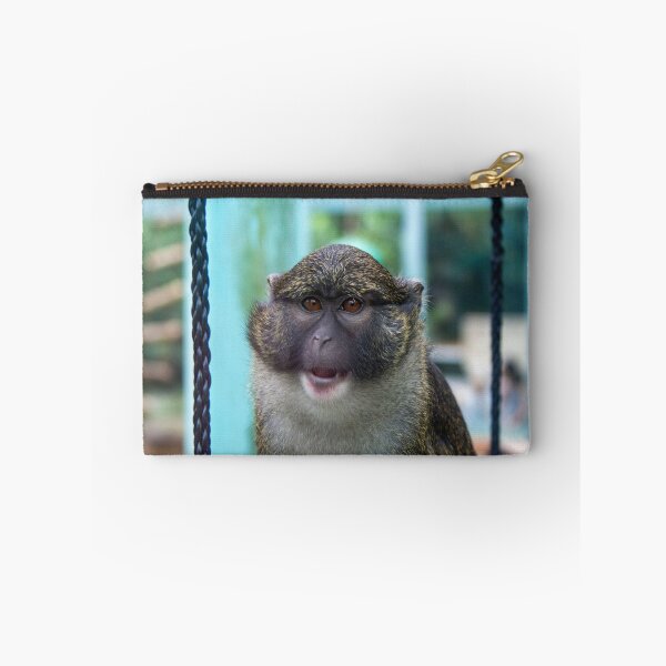 Item preview, Allen's Swamp Monkey at the National Zoo designed and sold by Zoo and Nature Photography by Karie.
