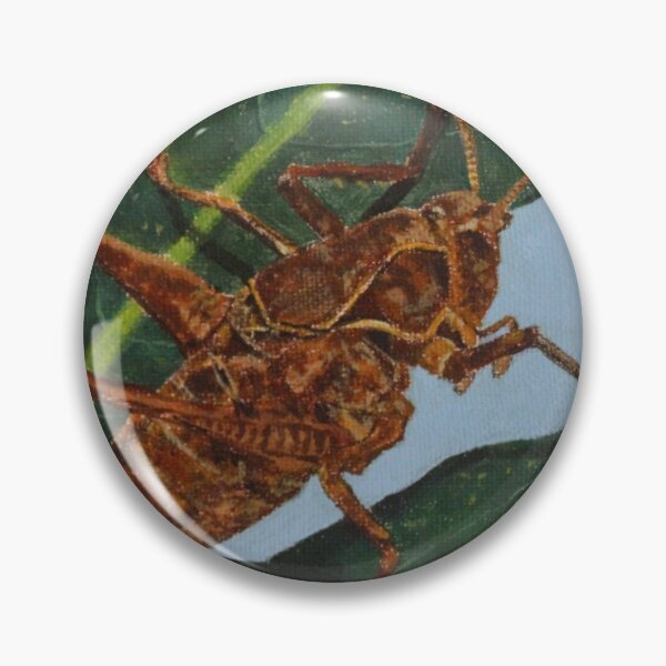Item preview, Shieldback Katydid designed and sold by Eco-Artopia.