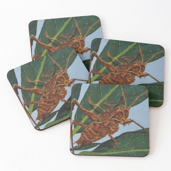 Item preview, Shieldback Katydid designed and sold by Eco-Artopia.