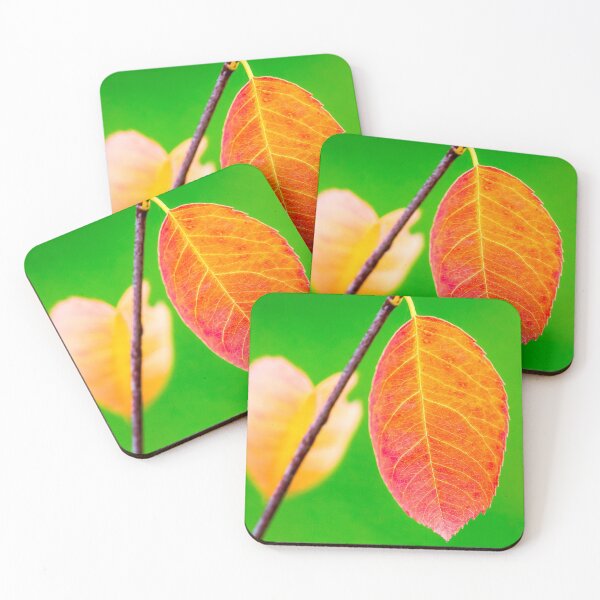 Item preview, Autumn orange leaf with green background designed and sold by iCimages.net.
