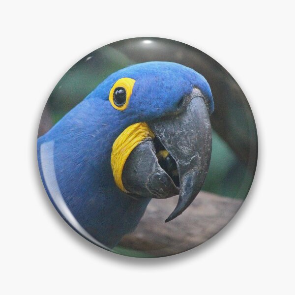 Item preview, Blue Hyacinth Macaw designed and sold by LeanneAllen.