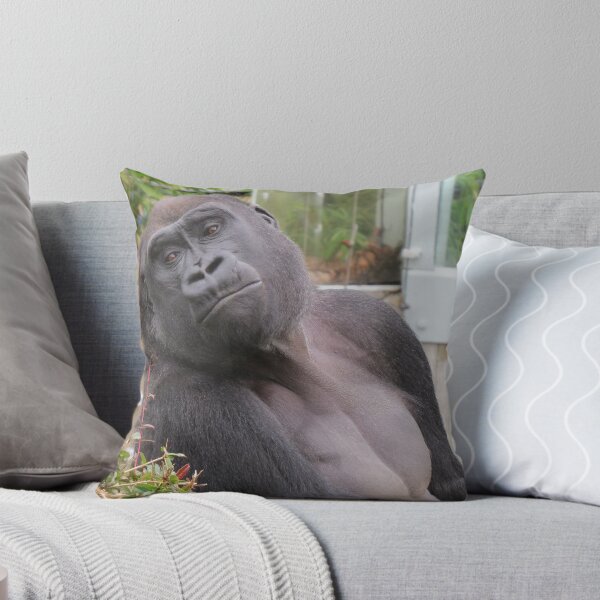 Item preview, Gorilla Kojo at the National Zoo designed and sold by Zoo and Nature Photography by Karie.
